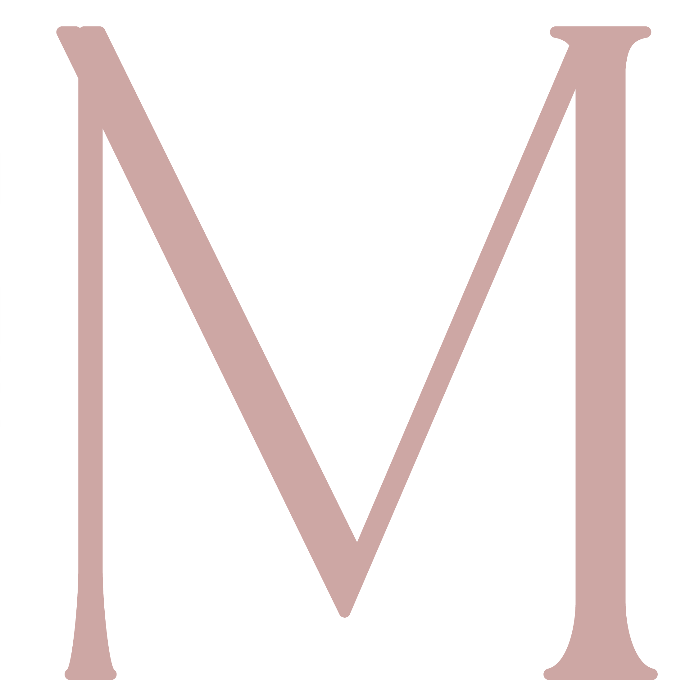 Metroplitan M2-05